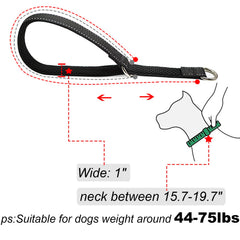 Mycicy no-pull training collar demonstrates controlled walking