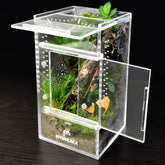 MYGIIKAKA jumping spider enclosure with clear view for observing tiny arachnids