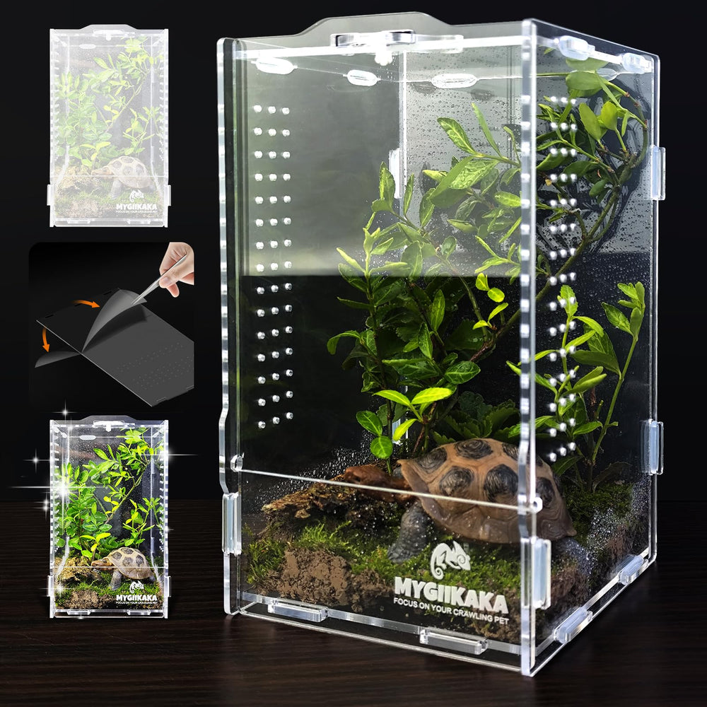 MYGIIKAKA acrylic jumping spider habitat 360 view for easy observation.
