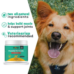 MYOS Canine Muscle Formula label close-up highlights Fortetropin and joint-support ingredients