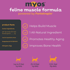Senior cat mobility visual featuring MYOS product for active, comfortable daily movement.