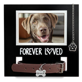 MYPAWLETS collar memorial frame with paw charm for a lasting tribute to a beloved pet.