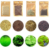 Mysteryhigh aquarium seed set leaves for lush underwater habitat and color