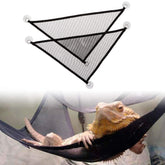 Mytagos bearded-dragon-hammock-setup shows two breathable hammocks for climbing and resting