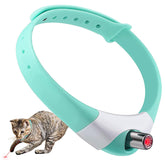 MZINGALL automatic laser collar on a cat for engaging exercise.