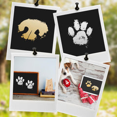 Nabance paw print kit features gold and silver ink pads for vibrant prints.