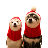 Gorro navidad para perro de NACOCO con pompón, ideal para sesiones de fotos