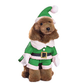 NACOCO Santa green dog costume front view for festive photos.