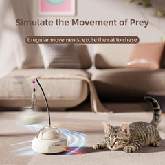 Naltreyva ball toy in fast mode invites rapid pouncing and quick reflexes
