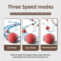 Naltreyva ball toy with slow mode supports calm engagement and gentle play