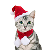 NAMSAN Christmas cat hat front view for adorable holiday photos