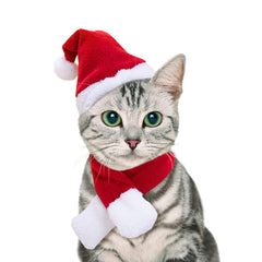 NAMSAN Christmas cat hat front view for adorable holiday photos