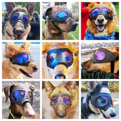 NAMSAN Clear Dog Goggles side view showing secure fit for wide snouts.