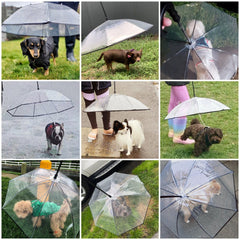 Namsan umbrella material shields rain while keeping dog visibility intact