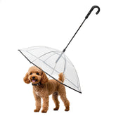 Namsan clear dog umbrella provides full small-dog coverage during rainy walks