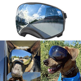 NAMSAN dog goggles show interchangeable lenses for adaptable sun protection during outdoor strolls.