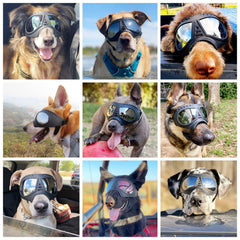NAMSAN dog goggles lateral-fit ensure secure wear without rubbing sensitive areas