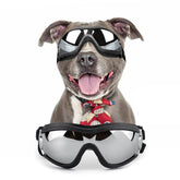 NAMSAN dog goggles with UV-resistant lenses for sunny outdoor adventures.