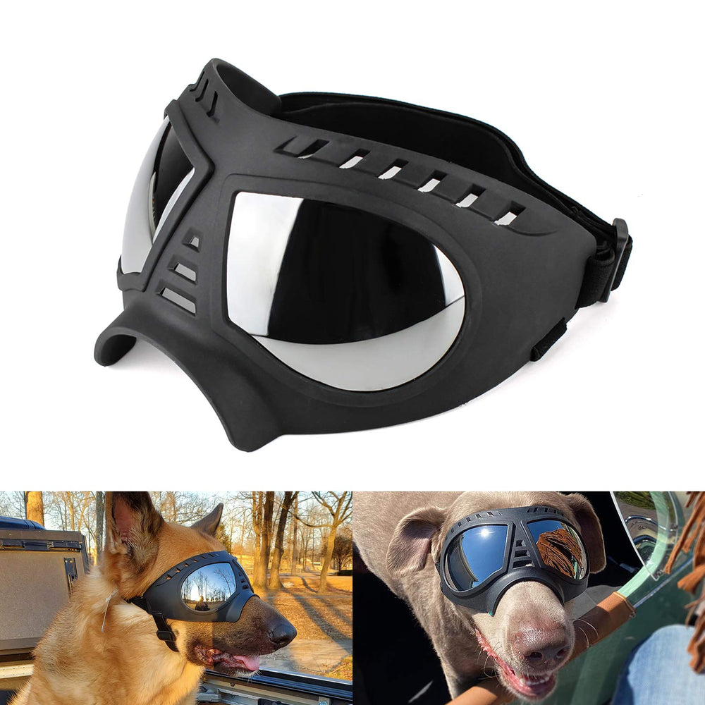 NAMSAN dog goggles on a dog's face protect eyes with UV shielding for outdoor adventures