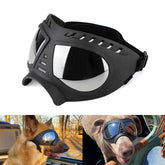 NAMSAN dog goggles on a dog's face protect eyes with UV shielding for outdoor adventures