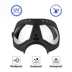 NAMSAN dog goggles UV-protection and anti-glare lenses reduce glare during car rides