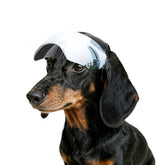 NAMSAN dog helmet front view shows sturdy ABS protection for safer outdoor walks.