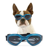 NAMSAN dog sunglasses blue-uv-protection for sunny outdoor adventures.