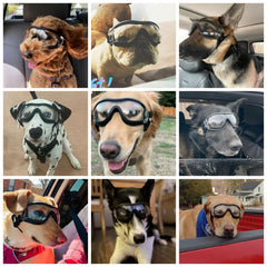 NAMSAN dog sunglasses side profile with secure, windproof design