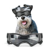 NAMSAN dog sunglasses UV-protective lenses for outdoor adventures