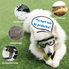 NAMSAN dog sunglasses UV-protection lens close-up for glare reduction