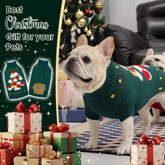 Nanaki dachshund sweater worn shows easy pullover and coziness