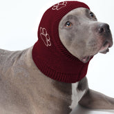 Nanaki calming hoodie ear wrap on a dog provides gentle calming during vet visits.