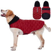Nanaki warm dog puffer coat with hood on keeps large dogs cozy during winter walks