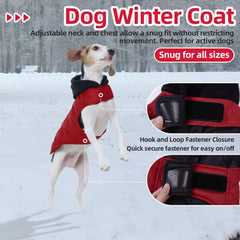 Nanaki windproof hood detail shields dog from chilly winds