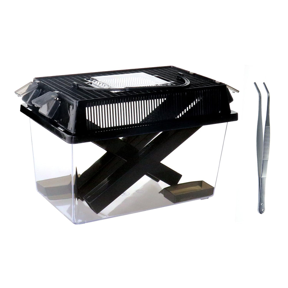 NANEEZOO Cricket Keeper front view shows clear housing for quick cricket observation.
