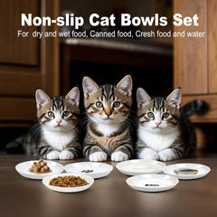 NAODONGLI 10 oz bowls in a six-pack provide portion-controlled meals