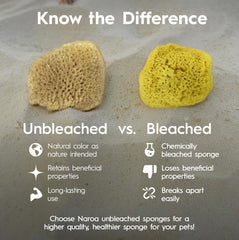 Naroa sponge absorbency tank humidity demonstrates high-absorbency fibers
