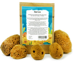 Naroa hermit crab sponges pack-5 natural sponges for safe drinking water in tanks