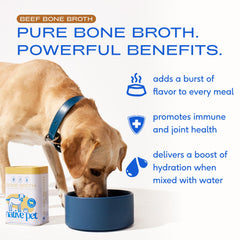 Native Pet bone broth powder on dog food entices meals and hydration