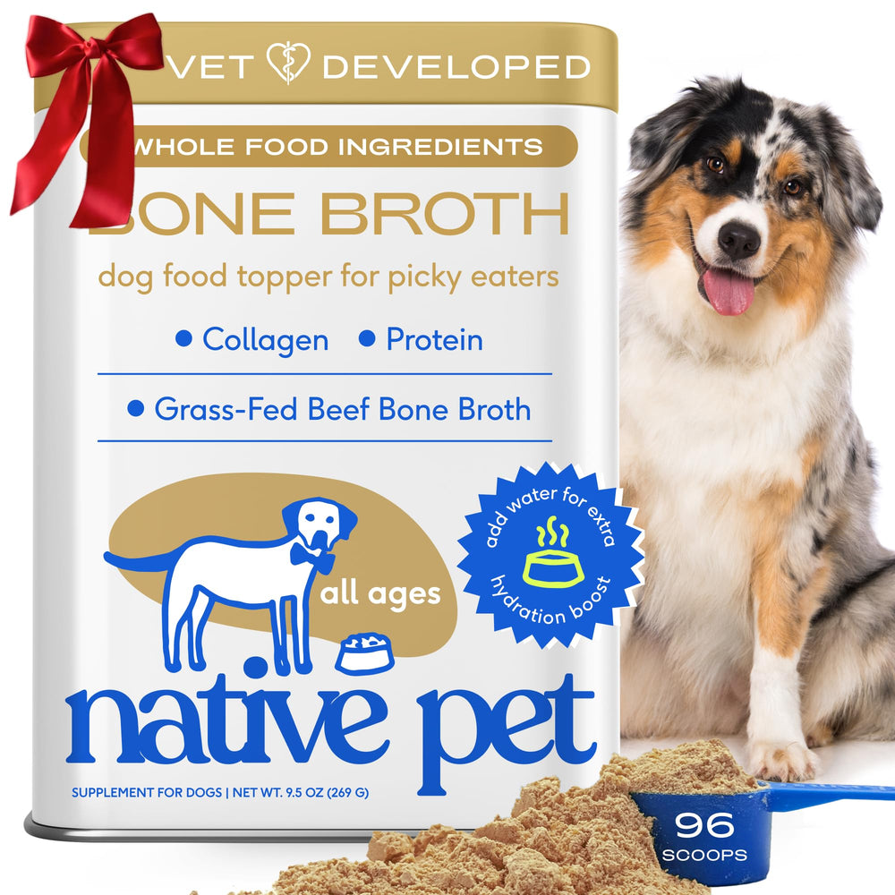 Native Pet bone broth powder scoop boosts meal flavor for picky eaters.