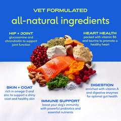 Native Pet topper poured into dog food highlighting fast-absorbing nutrients.