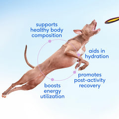 Native Pet Goat Milk powder top-off over food enhances flavor and nutrition