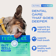 Native Pet GutWell powder resting on dog food for daily dental care