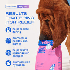 Native Pet GutWell skin hydration boost supports healthy dog skin.