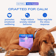 Native Pet GutWell tasty chews for dogs offering palatable anxiety relief.