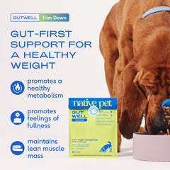 Native Pet GutWell Trim Down scoop illustrating convenient daily serving for canine weight management.