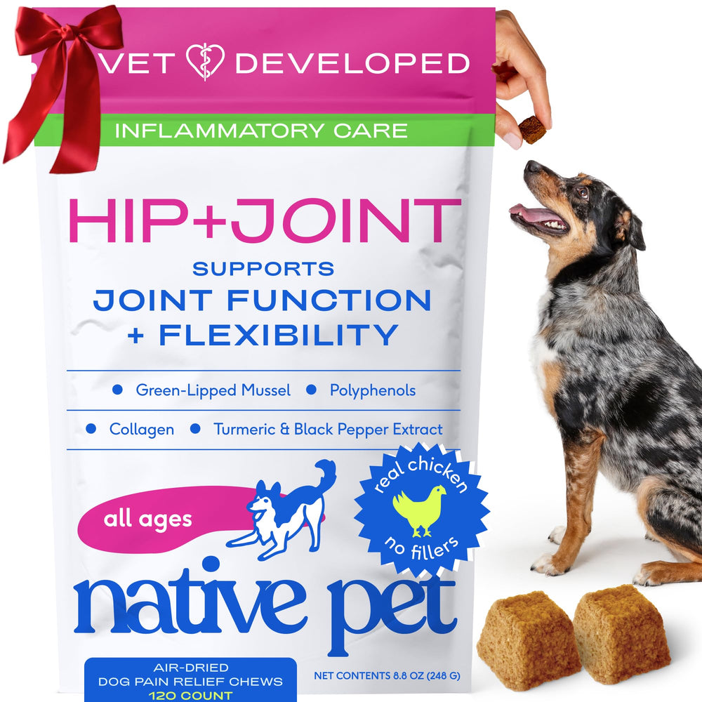 Native Pet Pain Relief for Dogs packaging shows joint-support treats for mobility