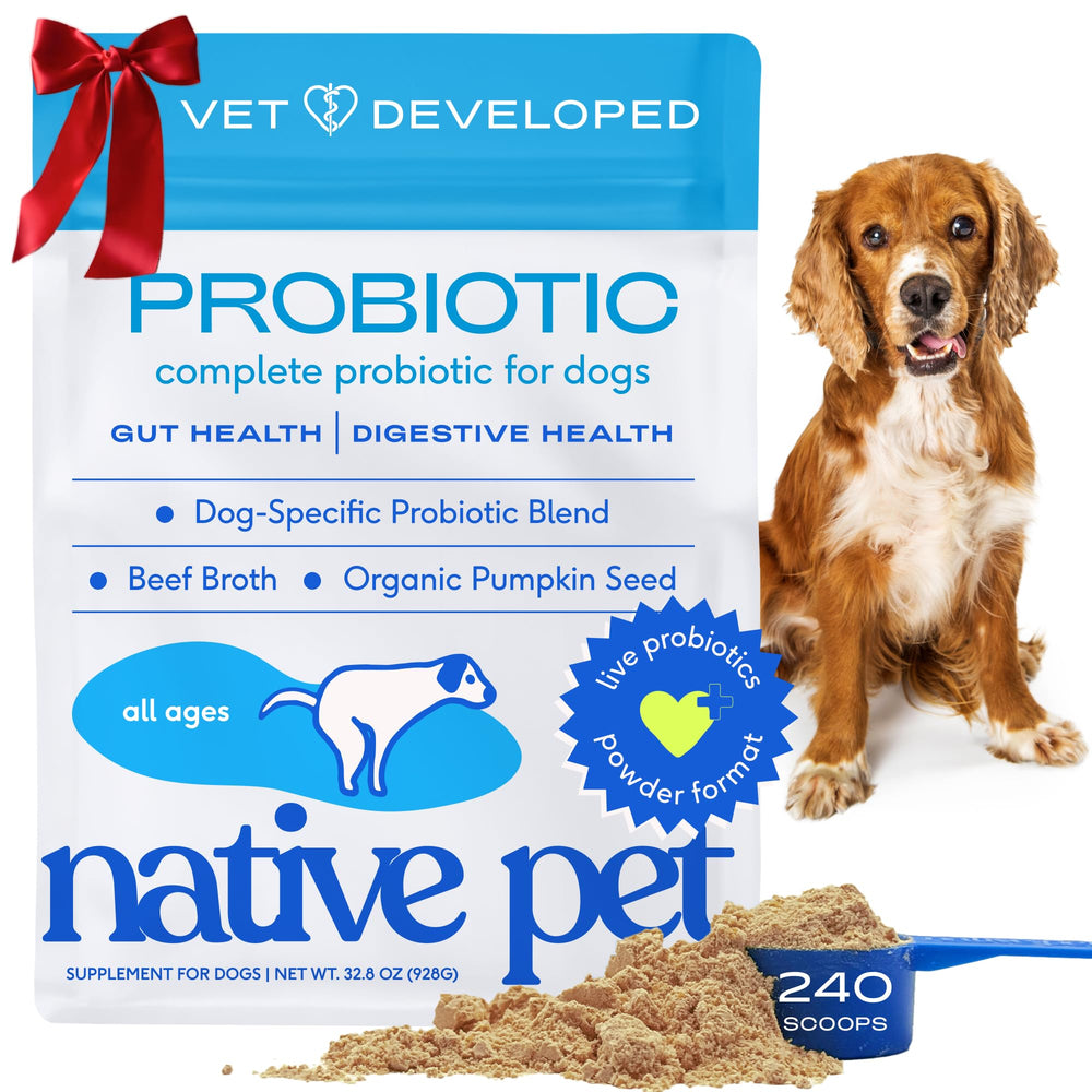 Native Pet Probiotics dog powder scoop shows easy-to-mix formula for daily gut support.