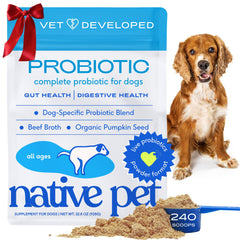 Native Pet Probiotics dog powder scoop shows easy-to-mix formula for daily gut support.