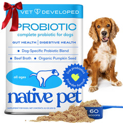 Native Pet Probiotics for Dogs tub shows 60 scoops for daily gut health support.